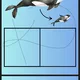 Mořský svět 🐟🪼🦑🦀🐳 3