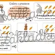 Hravá matematika ze zvířecí školy - slovní úlohy, počítání do 20 s přechodem 2