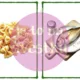 Food - slovíčka + fráze 3