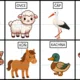 Bingo na statku a do zoo 2