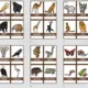 Flashcards - wild animals (divoká zvířata) 2