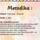 Výzdoba třídy - DRUHY VĚT s motivem lvíčat 2