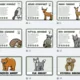 Výukové karty a flash cards- lesní zvířata 2
