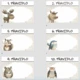 Balíček pro 2. třídu - téma LES (14 pomůcek) 9