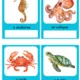 Podmořský svět - flaschcards 2