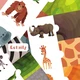 Zvířátka v ZOO / Safari - Soubor aktivit 3