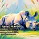 Pravidla třídy- Safari 2