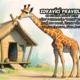 Pravidla třídy- Safari 3