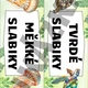 Měkké a tvrdé slabiky - výzdoba třídy 3