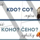 Pády - mořský svět  2