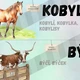 Přehled vyjmenovaných slov po B 2
