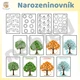 Narozeninovník - stromy v ročních obdobích 2