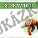 Pravidla třídy - téma džungle 2