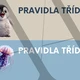 Třídní pravidla - mořský svět 3