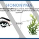 Plakáty do českého jazyka - mořský svět 5