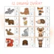 Slabikování - divoká zvířata 3