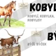 Přehled vyjmenovaných slov po B 3