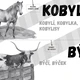 Přehled vyjmenovaných slov po B 4