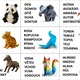 Abeceda to je věda 3