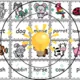 ANIMALS - 3v1: flashcards, pexeso, doplňovačka 5