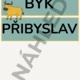 Vyjmenovaná slova pásy na zeď 5