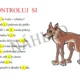 Hledej, hledej, hledači! - Vyjmenovaná slova 3