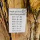OPAKOVÁNÍ 3. třídy - 5 vtipných matematických tajenek 8