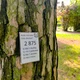 OPAKOVÁNÍ 3. třídy - 5 vtipných matematických tajenek 10