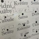 Třídní samospráva - rozvrh, narozeninovník, služby, šablona na pravidla 3