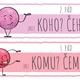 Pádové otázky 2