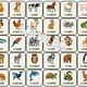 Juego de Memoria - Los Animales 2