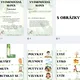 Vyjmenovaná slova - přehled učiva s tématem džungle 4