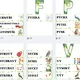 Vyjmenovaná slova - přehled učiva s tématem džungle 5