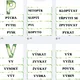 Vyjmenovaná slova - přehled učiva s tématem džungle 7