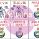 Rozvrh hodin - VESMÍR 10