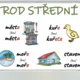 Vzory podstatných jmen - přehledové karty, téma LES 2