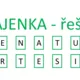BĚHACÍ KVÍZ s tajenkou – LINEÁRNÍ FUNKCE – GRAF A ROVNICE 2