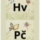 Výzdoba třídy (číslice, abeceda, rozvrh hodin) 5