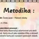 Výzdoba třídy - Pádové otázky - Lvíčata 2