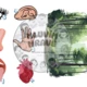 MINDFULNESS PRO DĚTI_Technika 5-4-3-2-1 + 2