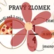 Zlomky - přehledy učiva 3