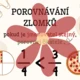 Zlomky - přehledy učiva 4