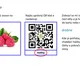 Ovoce (s QR) 5
