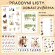PRACOVNÍ LISTY - DOMÁCÍ ZVÍŘÁTKA 2