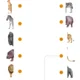 ZOO 5