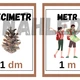 PŘEHLED JEDNOTEK - téma LES 3