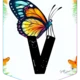 🌸✨ Girlanda Vítáme Vás – Přivítejte děti s kouzelnou výzdobou- vzor Exotických safari zvířátek! 🧚‍♂️🌿 3