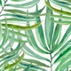 🌸✨ Girlanda Vítáme Vás – Přivítejte děti s kouzelnou výzdobou- vzor Exotických safari zvířátek! 🧚‍♂️🌿 4