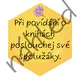 PRAVIDLA ČTENÁŘSKÁ DÍLNA - téma VČELY 4