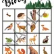 Bingo! LESNÍ ZVÍŘÁTKA 2